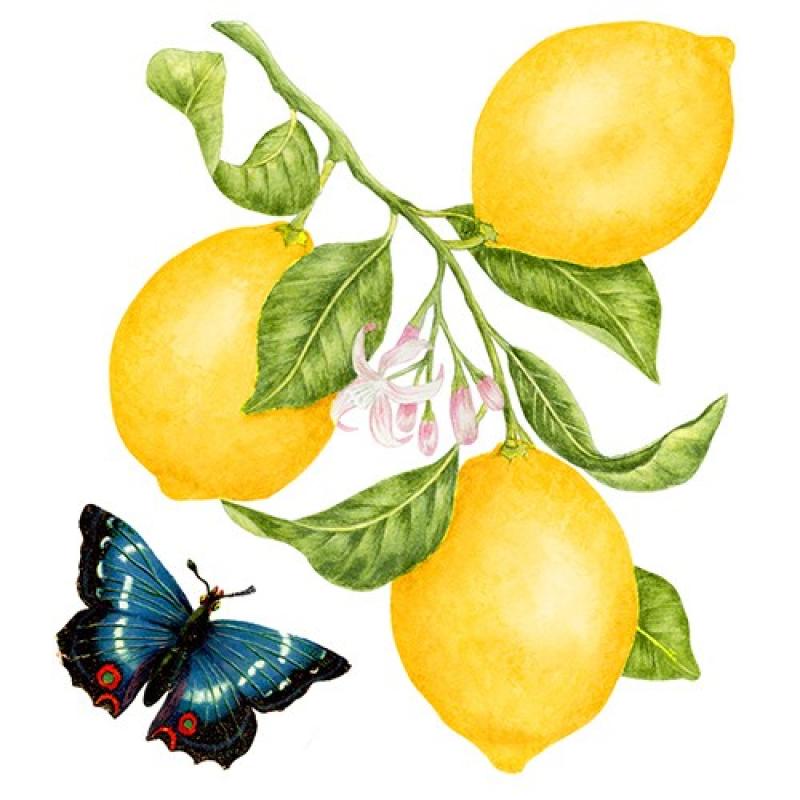 Lemons Kitchen Towel