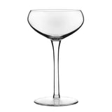 Kentfield Coupe Cocktail Set of 4