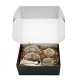 Espresso Gift Set of 2