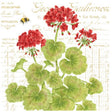 Geraniums Kitchen Towel