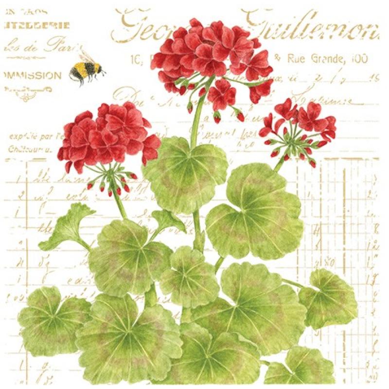 Geraniums Kitchen Towel