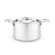 Titanium Series 5 Quart Sauce Pot with Lid Cookware