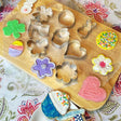 Spring Cookie Cutter Collection Set of 8