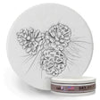 Pinecone Coasters Set of 4