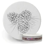 Pinecone Coasters Set of 4