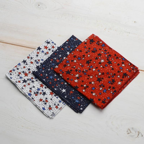 Travel Cutlery Pouch Only