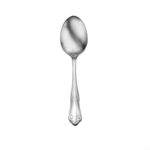Champlin serving spoon shown on a white background