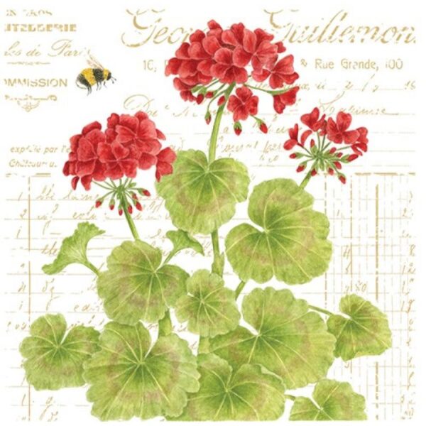 Geraniums Kitchen Towel