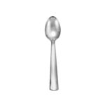 Modern America place spoon shown on a white background.
