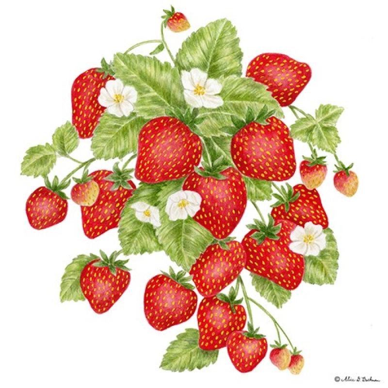 Strawberry Kitchen Towel | Liberty Tabletop