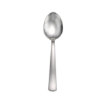 Satin America serving spoon shown on white background