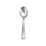 Satin America sugar spoon shown on white background