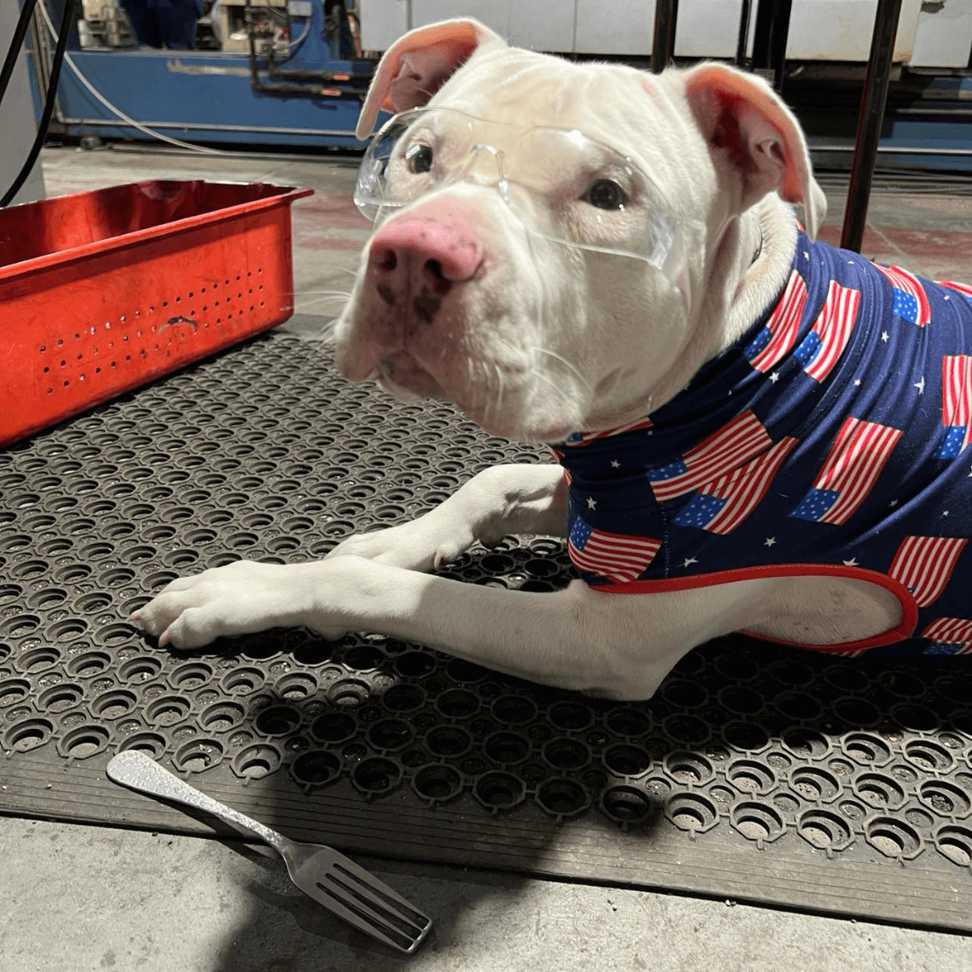 Oliver in Factory inspecting a fork