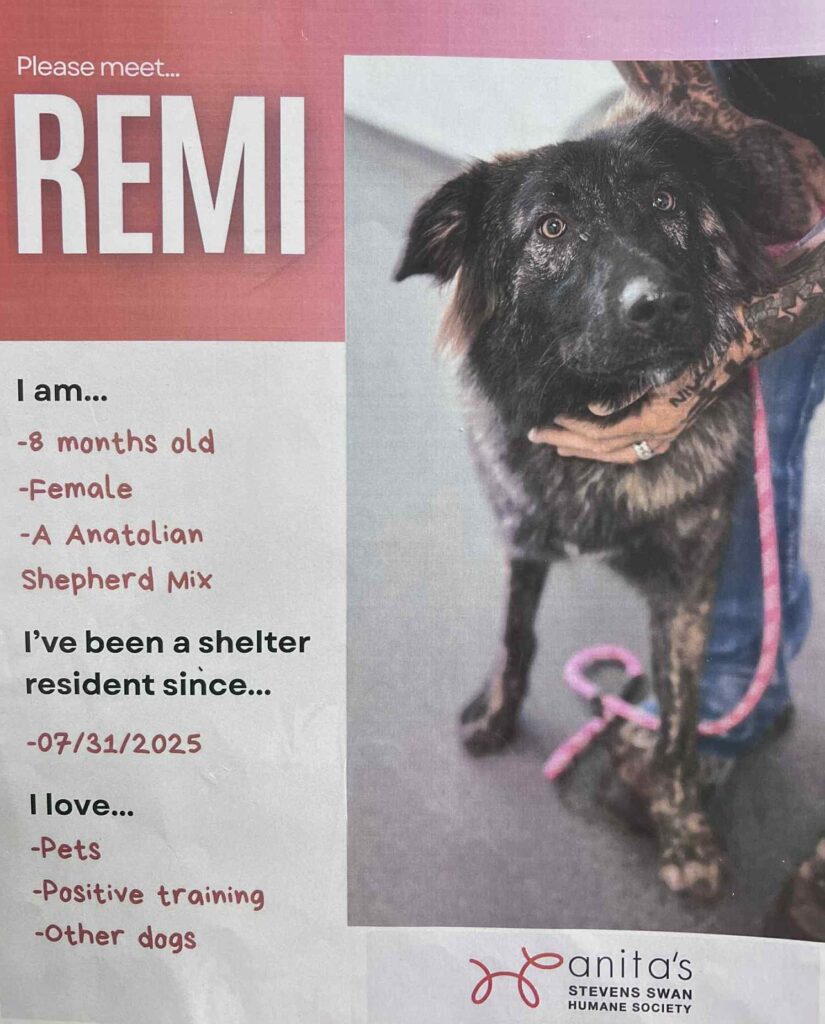 Remi