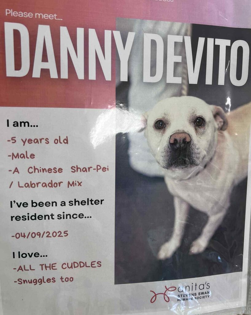 Danny Devito